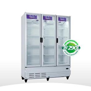 EXHIBIDORA INELRO MT 42