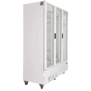 EXHIBIDORA INELRO MT 42