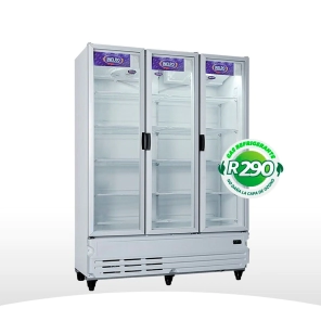 EXHIBIDORA INELRO MT 42