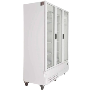 EXHIBIDORA INELRO MT 42