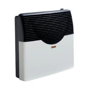 CALEFACTOR LONGVIE EBA5 MULTIGAS 5000KA