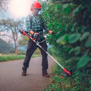 DESBROZADORA EINHELL INALAMBRICA AGILLO 36/255 BL-SOLO