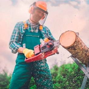 MOTOSIERRA EINHELL INALAMBRICA AGILLO 36/255 BL-SOLO