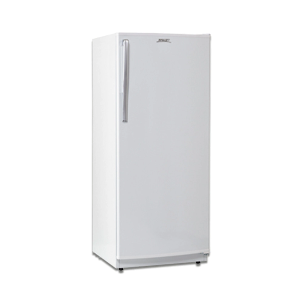FREEZER VERTICAL BRIKET FRV 6200