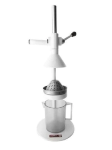 CITRUS STANDARS CON JARRA NATIVA