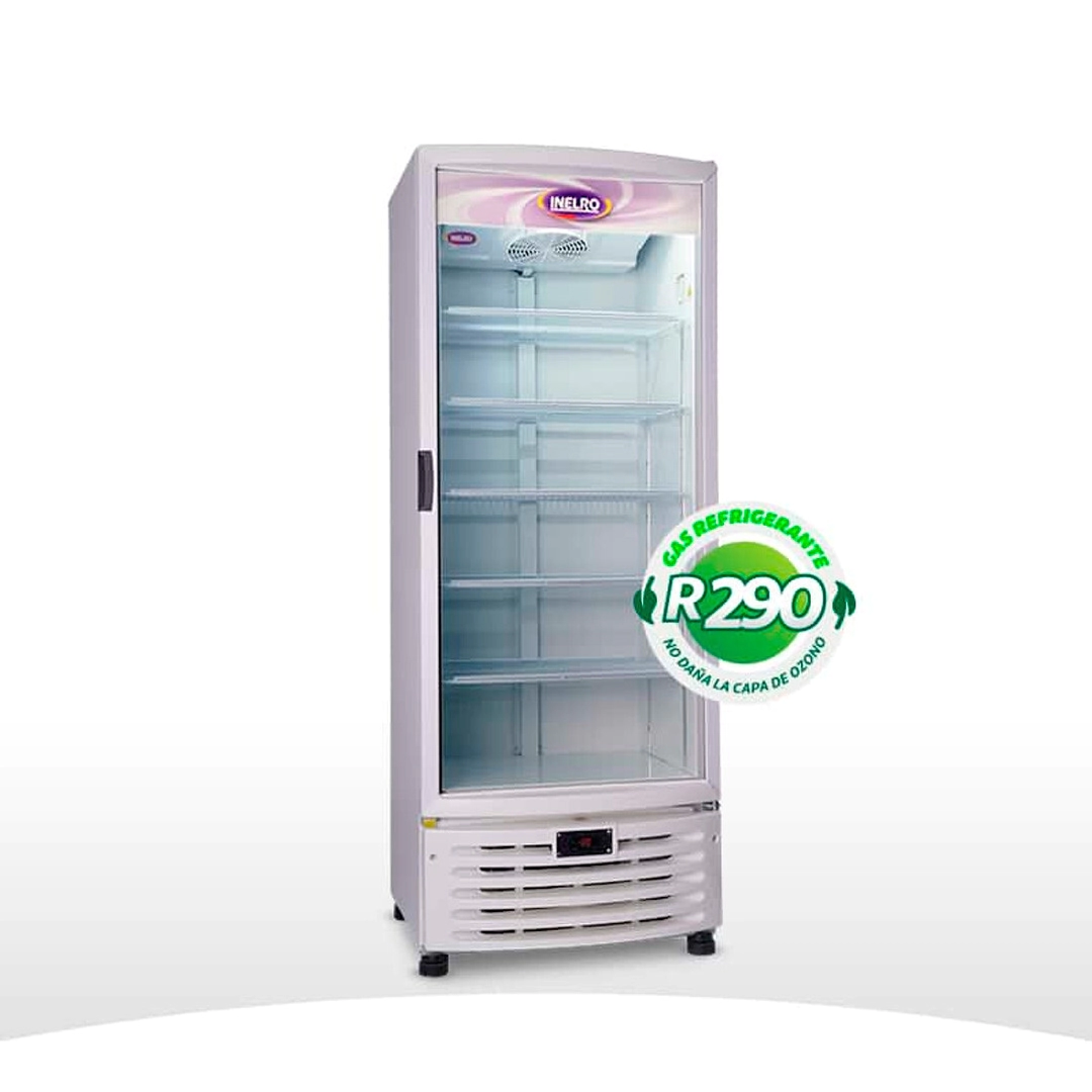 EXHIBIDORA INELRO MT 19